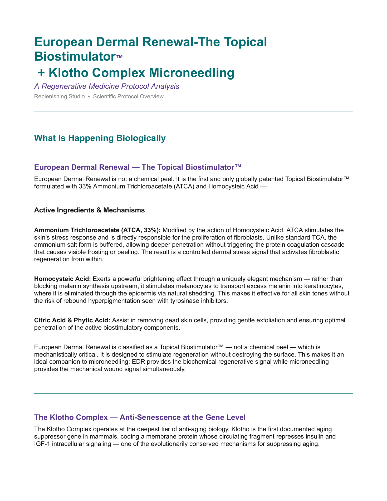 Replenish RX scientific protocol overview page 1